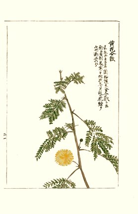 photo23.jpg