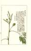 photo24_small.jpg
