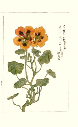 photo25.jpg
