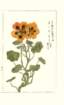 photo25_small.jpg
