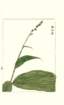 photo26_small.jpg