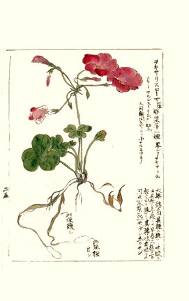 photo27.jpg