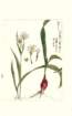 photo30_small.jpg