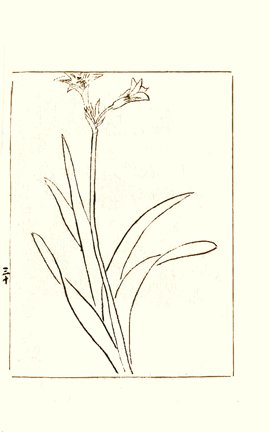 photo33.jpg