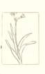 photo33_small.jpg