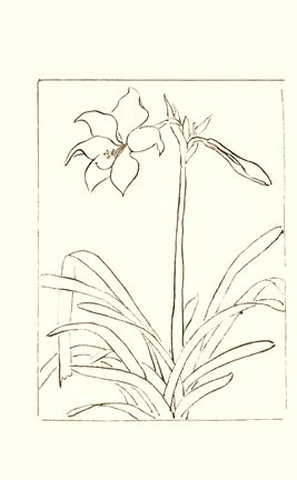 photo36.jpg