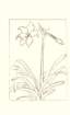 photo36_small.jpg