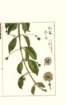 photo3_small.jpg