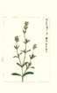 photo40_small.jpg