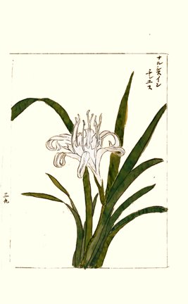 photo43.jpg