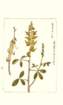 photo44_small.jpg