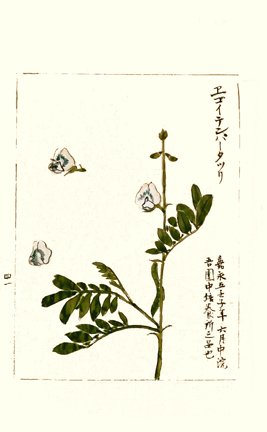 photo45.jpg