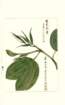 photo47_small.jpg