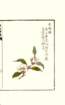 photo4_small.jpg