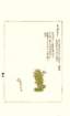 photo50_small.jpg