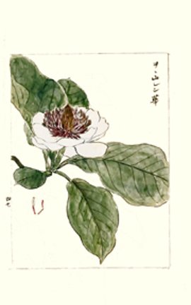 photo52.jpg