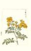 photo55_small.jpg