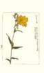 photo57_small.jpg