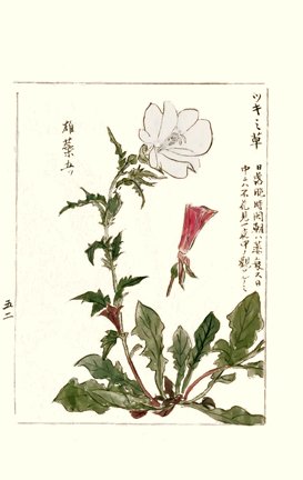photo58.jpg