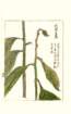 photo61_small.jpg