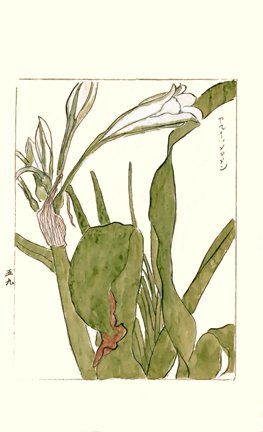 photo67.jpg