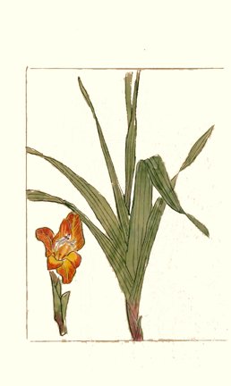 photo70.jpg