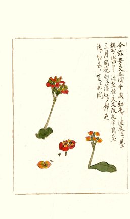 photo73.jpg