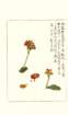 photo73_small.jpg