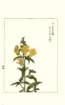 photo76_small.jpg