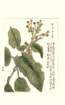 photo78_small.jpg