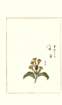 photo79_small.jpg