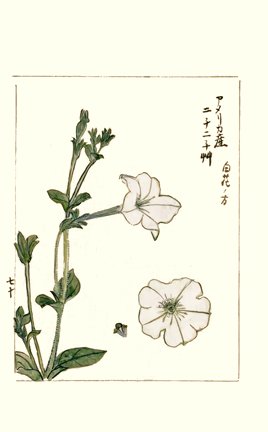 photo84.jpg