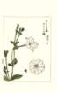 photo84_small.jpg