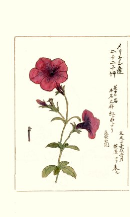 photo86.jpg