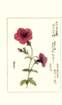 photo86_small.jpg