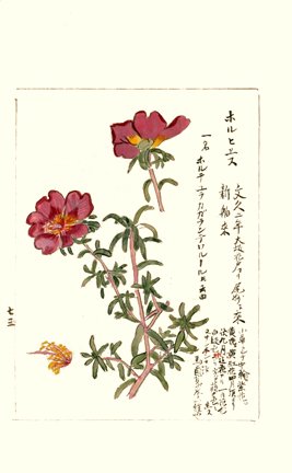 photo88.jpg