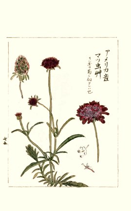 photo91.jpg