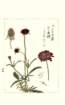 photo91_small.jpg