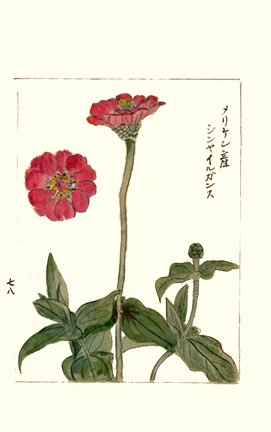 photo94.jpg