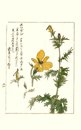 photo97.jpg