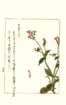 photo99_small.jpg
