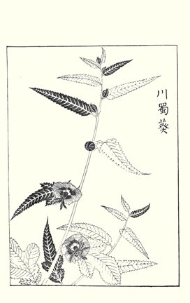 photo89.jpg