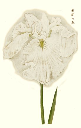 photo13.jpg