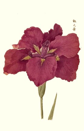 photo37.jpg