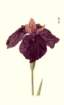 photo3_small.jpg