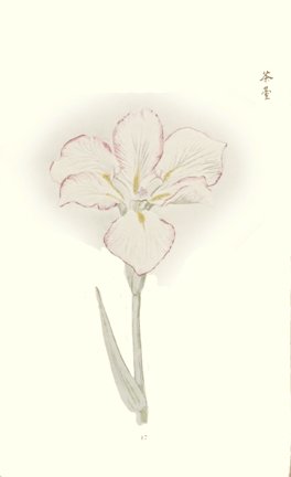 photo47.jpg