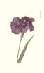 photo56_small.jpg