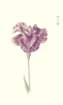 photo69_small.jpg