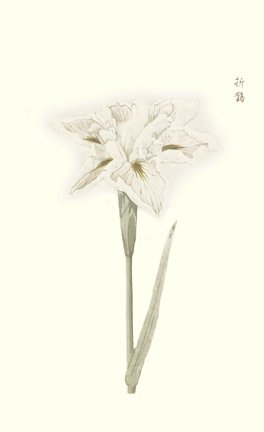 photo83.jpg