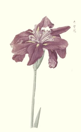 photo86.jpg